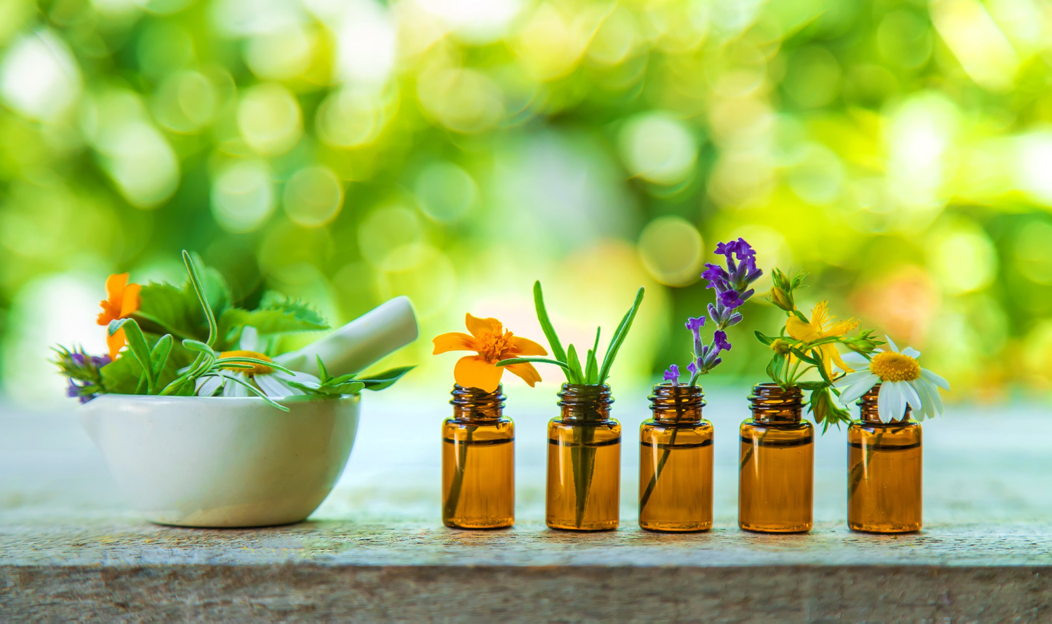 Agivesh E-Catalog 2022–2023